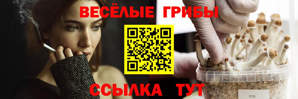 Псилоцибиновые грибы Magic Shrooms Рославль